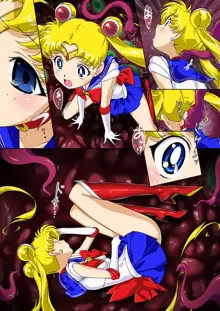 Sailor Moon Chu!, 中文