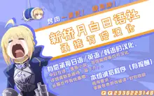 Lancer Artoria to Maryoku Kyoukyuu, 中文