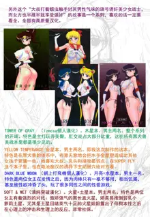 YELLOW TEMPERANCE | 美少女战士 鲜嫩诱惑, 中文