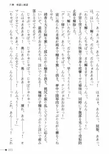 天聖ノ退魔師 綾香 魔宮の生贄, 日本語