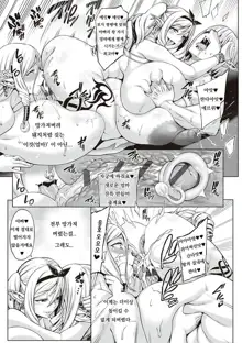 Houjou no Reizoku Elf omake, 한국어