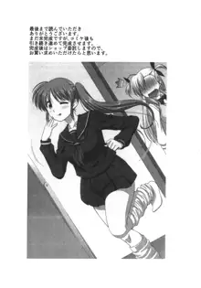 Fate-San ni Seifuku Sugata o mi Rareta Nanoha-San (Kari) Purebyū Hon, Español