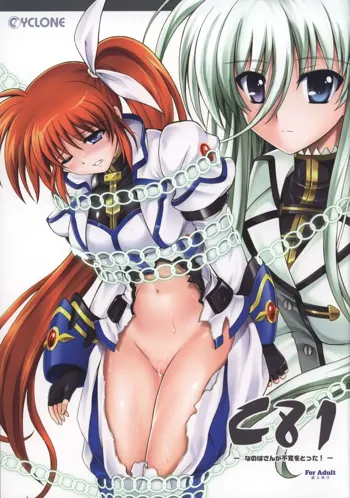 Nanoha-san ga Fukaku wo Totta!, Español