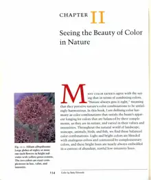 Color A Course in Mastering the Art of Mixing Colors by Betty Edwards, English