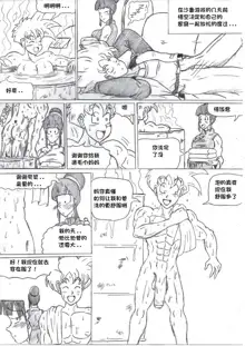 Dragon Ball NTR 3, 中文