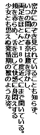 電脳美少女絵物語 春奈11歳, 日本語