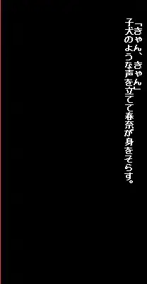 電脳美少女絵物語 春奈11歳, 日本語