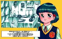 電脳美少女絵物語 春奈11歳, 日本語