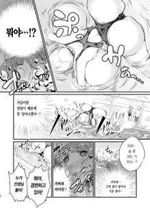 Heroine Mesuniku Kaizou Keikaku | 히로인 암컷육체 개조계획, 한국어