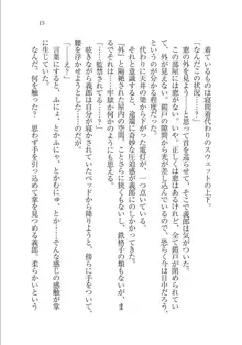 メイドな狐と監禁コン!, 日本語