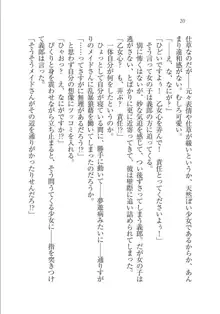 メイドな狐と監禁コン!, 日本語