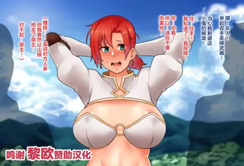 Iinari Boudica-san, 中文