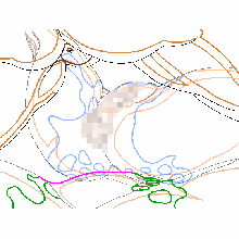 Pretty predot development data gif, 日本語