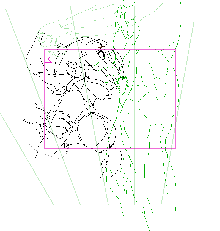 Pretty predot development data gif, 日本語