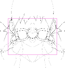 Pretty predot development data gif, 日本語