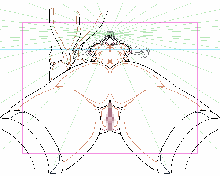 Pretty predot development data gif, 日本語