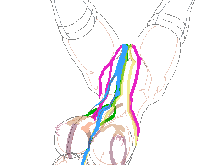 Pretty predot development data gif, 日本語