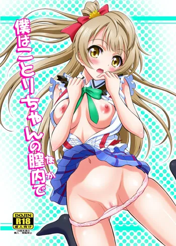 Boku wa Kotori-chan no Naka de, English