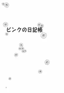 ピンクの日記帳, 日本語