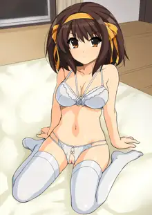 Haruhi Lingerie Collection 01, 日本語