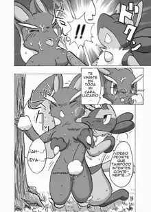 Lucario Loppuny ESP, Español