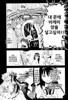 Tomoe Mami ni Sukuwaretai | 토모에 마미에게 구원받고싶어, 한국어