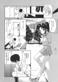 ボクの好きな女の子, 日本語