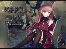 Shoshinsha Mahoutsukai wa Goblin Senyou no Haramibukuro to Shite, 한국어