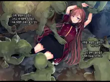 Shoshinsha Mahoutsukai wa Goblin Senyou no Haramibukuro to Shite, 한국어