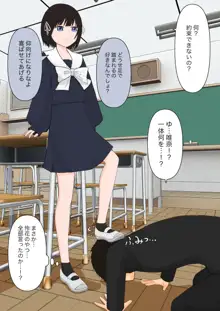 ゴミは踏み潰してから棄てましょう, 日本語