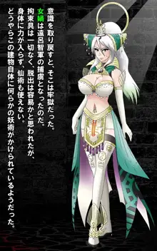 無双仙姫 流麗な仙界女剣士の陵辱譚, 日本語