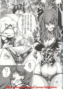 FUJIKO, 日本語