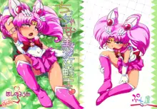 Chiccha na Bishoujo Senshi, 中文