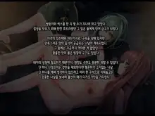 Half Elf wa Goblin Snyou no Harami Bukuro to Shite, 한국어