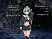 Half Elf wa Goblin Snyou no Harami Bukuro to Shite, 한국어