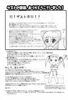 ツインテール＆ふたつむすびの本, 日本語