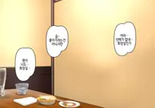 Misoji Senpai, 한국어