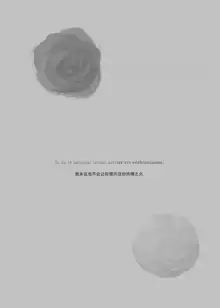 2048565-White Camellia & Red Rose, 中文