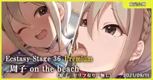 Ecstasy Stage 36 Premium Syuko on the beach, 中文