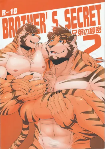 Brother's Secret 2, 中文