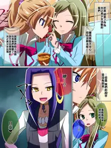 Haiboku no Precure ~Teki no Onna Kanbu ni Juurin sareru Densetsu no Senshi~, 中文