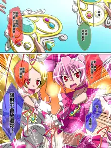 Haiboku no Precure ~Teki no Onna Kanbu ni Juurin sareru Densetsu no Senshi~, 中文