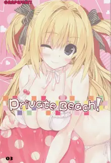 Private Beach, 日本語