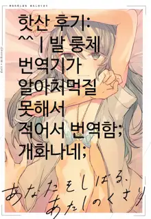 Anata o Shibaru Atashi no Kusari | 당신을 묶는 나의 사슬, 한국어