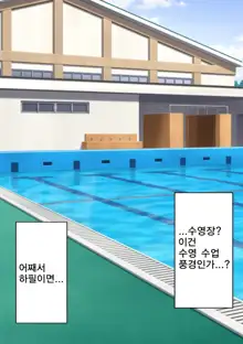 Dansei Kyoushi Tekisei Kensa | 남성교사 적성검사, 한국어