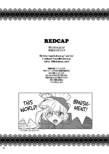 REDCAP, English