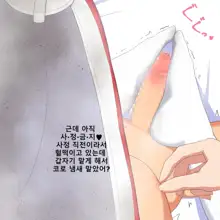 Kanojo no Ashi Dorei ni Otosarechau Full Voice CG Shuu | 그녀의 발노예로 타락해버리다, 한국어