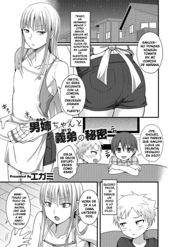 Onee-chan to Otouto no Himitsu, Español