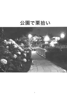 公園で栗拾い, 日本語