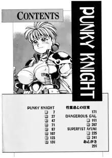 PUNKY KNIGHT, 日本語